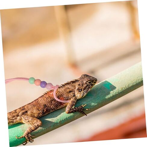 VALICLUD 3pcs Adjustable Glow-in-The-Dark Lizard Leash and Harness Set for Outdoor Walking Bearded Dragon and Small Reptile Pets, Pink in Kuwait