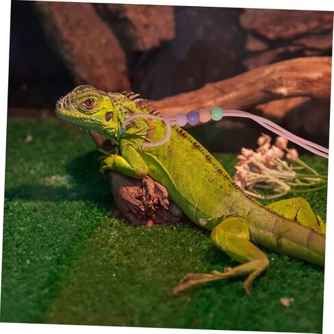 VALICLUD 3pcs Adjustable Glow-in-The-Dark Lizard Leash and Harness Set for Outdoor Walking Bearded Dragon and Small Reptile Pets, Pink in Kuwait