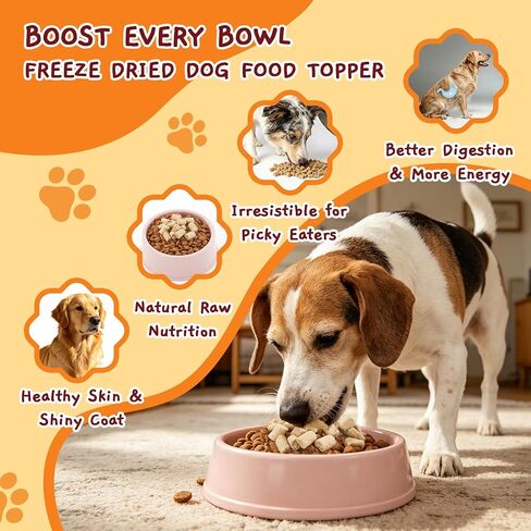 Jungle Calling Freeze Dried Raw Chicken Crunchy Bites Dog Treats, 99% Chicken, Organs & Bone, High Value Training Treats, Limited Ingredient Dog Food Topper for Picky Eaters, Approx 720 Pcs, 10.6 oz in Kuwait