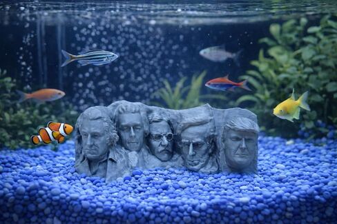 Aquarium Decor Mount Rushmore with Trump Decor for Fish Tank or Betta Fish Trump Head Make America Great Again Patriotic Decor for Tank in Kuwait