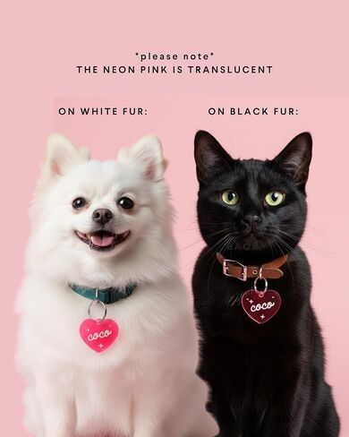 Personalized Pet ID Name Tag Heart Charm – Custom Engraved Contact Information – Durable Acrylic Collar Pendant w/Stainless Steel Ring for Harnesses – Lightweight for Dogs Cats Puppies Kittens in Kuwait