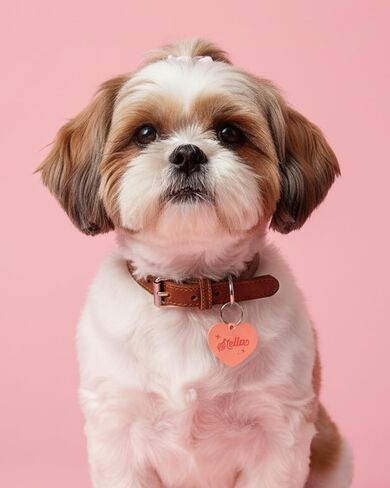 Personalized Pet ID Name Tag Heart Charm – Custom Engraved Contact Information – Durable Acrylic Collar Pendant w/Stainless Steel Ring for Harnesses – Lightweight for Dogs Cats Puppies Kittens in Kuwait