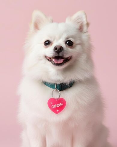 Personalized Pet ID Name Tag Heart Charm – Custom Engraved Contact Information – Durable Acrylic Collar Pendant w/Stainless Steel Ring for Harnesses – Lightweight for Dogs Cats Puppies Kittens in Kuwait
