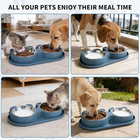 Stainless Steel Double Pet Bowls with Non-Slip Base, Detachable Dog Cat Food and Water Feeder Set, Anti-Spill & Easy to Clean Pet Feeding Bowls for Small Dogs & Cats in Kuwait