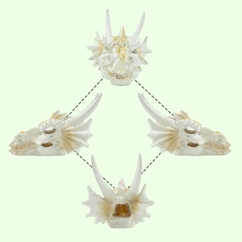 Dragon Skull Ornament for Aquarium Reptile Fish Tank Decorations Mini Betta Fish Tank Decor Accessories in Kuwait