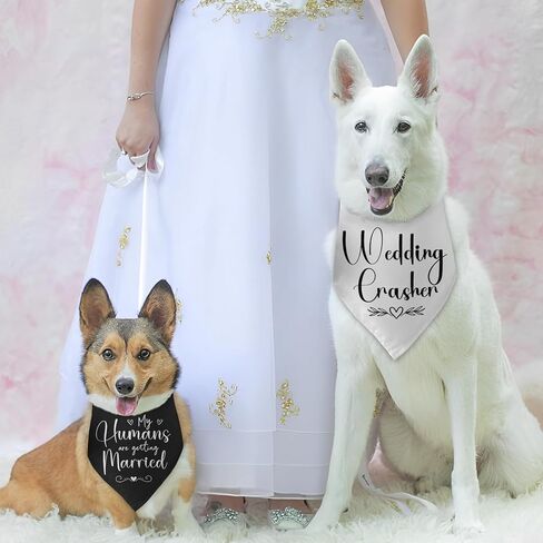 عبوتان من My Humans يتزوجون زفاف Crasher Dog Bandana هدية دش الزفاف وإكسسوارات صور الخطوبة لمحبي الكلاب هدية المالك in Kuwait