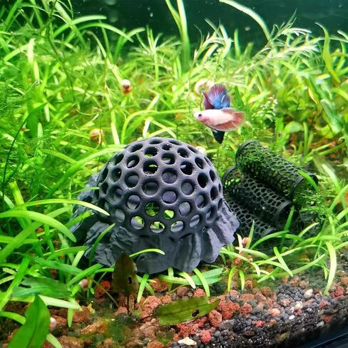 Shrimp Hides for Aquarium, Shrimp Tank Accessories - Shrimp Cave, Shrimp Hideout, Shrimp Shelter, Black in Kuwait
