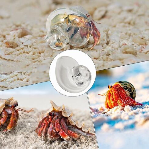 Large Hermit Crab Shells | Hermit Crab Habitat - Glass Large Clear Reptiles Crustaceans Conch Habitat Ornaments for Marine Aquarium Terrarium Fish Spiral Tank Decor in Kuwait