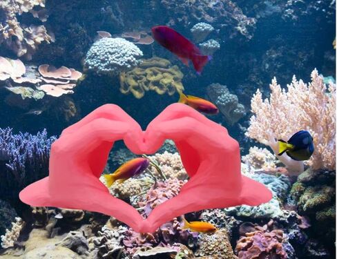 Fish Tank Decor Heart Hands Fish Hide Tank Decoration Fish Tank Aquarium Gift for Her Gift for Teen Shrimp Hide Tunnel in Kuwait