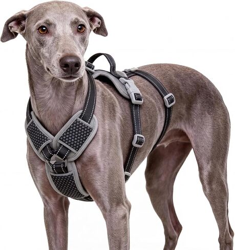 ThinkPet Flexfit 3-Strap Escape Proof Dog Harness، لا يوجد سحب مشبك أمامي 2 في 1 سترة مع مقبض تحكم، 360 درجة عاكسة للتنفس تسخير قابل للتعديل لـ Greyhound Whippet Vizsla، متوسط، أسود in Kuwait