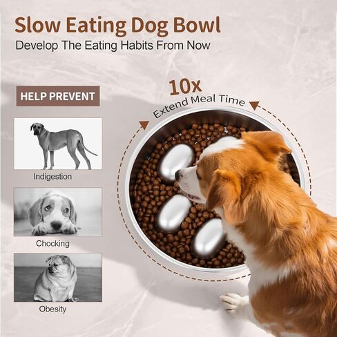 Slow Feeder Dog Bowls Stainless Steel with Non-Slip Silicone Pad Metal Bowl 2 Cups Heavy Duty Large Capacity Slow Feed for Small, Medium, Large Breed Dogs to Slow Down Eating in Kuwait