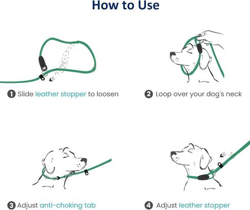 Dog Training Slip Leash, No Pull, Durable Reflective Lead, Puppy Heavy Duty Loop Rope, Comfortable Handle, 6 ft, 1/2 inch, diam. Forest/White in Kuwait