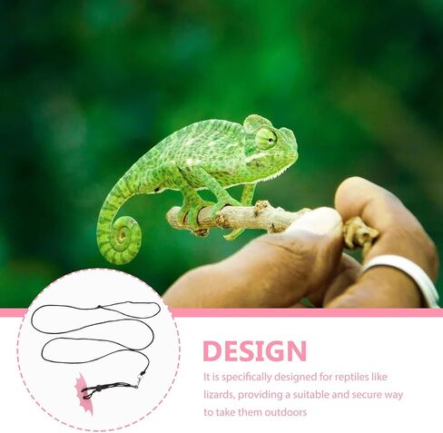 Toyvian Adjustable Rose Harness Leash for Small Reptiles Outdoor Use, Bearded Dragon and Gecko Pet Traction Rope Accessories in Kuwait