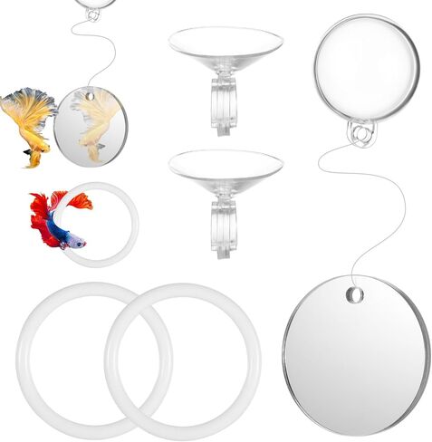 3Pcs Betta Fish Exercise Ring and Mirror Set 1 Mirror with Floating Ball 2 Exercise Training Rings Toy Betta Ring Enrichment Toys Floating Mirrors Balls Resting Spot Fishing Tank Accessories for Fish in Kuwait