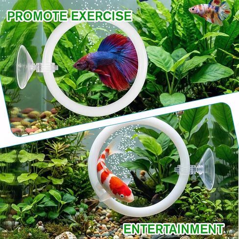 3Pcs Betta Fish Exercise Ring and Mirror Set 1 Mirror with Floating Ball 2 Exercise Training Rings Toy Betta Ring Enrichment Toys Floating Mirrors Balls Resting Spot Fishing Tank Accessories for Fish in Kuwait