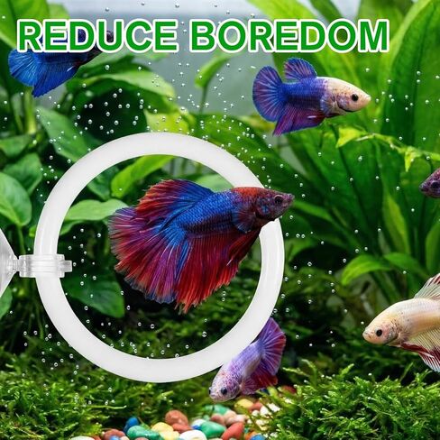 3Pcs Betta Fish Exercise Ring and Mirror Set 1 Mirror with Floating Ball 2 Exercise Training Rings Toy Betta Ring Enrichment Toys Floating Mirrors Balls Resting Spot Fishing Tank Accessories for Fish in Kuwait