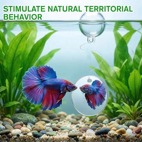 3Pcs Betta Fish Exercise Ring and Mirror Set 1 Mirror with Floating Ball 2 Exercise Training Rings Toy Betta Ring Enrichment Toys Floating Mirrors Balls Resting Spot Fishing Tank Accessories for Fish in Kuwait