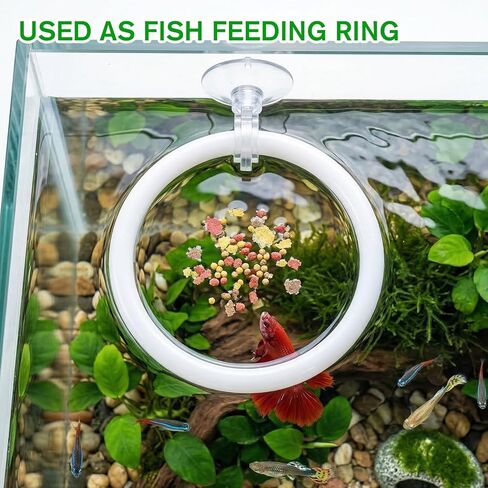 3Pcs Betta Fish Exercise Ring and Mirror Set 1 Mirror with Floating Ball 2 Exercise Training Rings Toy Betta Ring Enrichment Toys Floating Mirrors Balls Resting Spot Fishing Tank Accessories for Fish in Kuwait