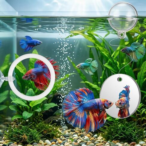 3Pcs Betta Fish Exercise Ring and Mirror Set 1 Mirror with Floating Ball 2 Exercise Training Rings Toy Betta Ring Enrichment Toys Floating Mirrors Balls Resting Spot Fishing Tank Accessories for Fish in Kuwait