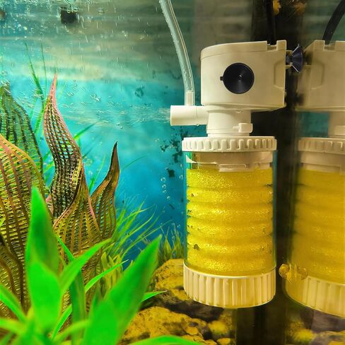 24PCS Fish Tank Suction Cups, Rubber Aquarium Suction Cups, 32mm Suction Cups for Aquarium, for Pump, Airline Tubing, Aeration Setup, Secure Attachment for Aquarium Accessories, Black in Kuwait