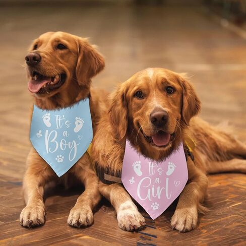 It's a Boy It's a Girl Dog Bandana Pregnancy Announcement Dog Bandana 2 Packs Gender Reveal Baby Announcement Photo Prop Accessories for Puppy Pet Lovers Owner Gift in Kuwait