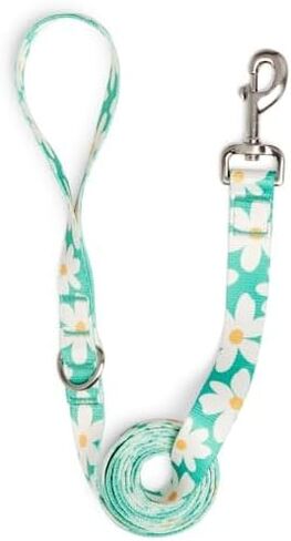 Youly by Petco Daisy Dog Leash Daisy 6-ft Long 1-in Wide in Kuwait