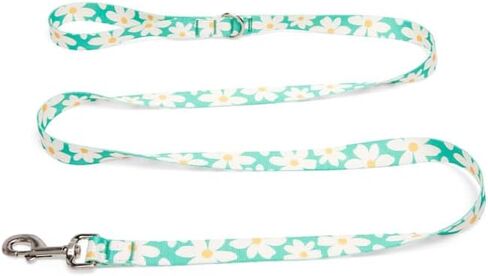 Youly by Petco Daisy Dog Leash Daisy 6-ft Long 1-in Wide in Kuwait