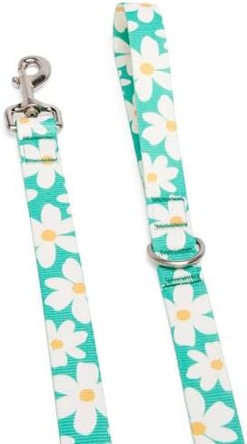 Youly by Petco Daisy Dog Leash Daisy 6-ft Long 1-in Wide in Kuwait