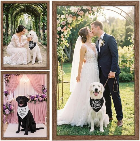 2PCS My Humans are Getting Married Dog Bandanas، مثلثة الكلب باندانا هدية خطوبة، مريحة قابلة للتعديل للكلاب الزفاف عصابات الزفاف الخطوبة لإمدادات الزفاف حزب صور الديكور in Kuwait