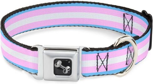 Buckle-Down Dog Collar Seatbelt Buckle Flag Transgender Baby Blue Baby Pink White 11 to 17 Inches 1.0 Inch Wide in Kuwait