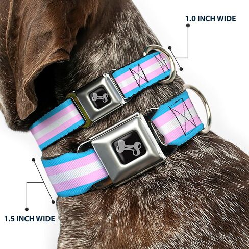 Buckle-Down Dog Collar Seatbelt Buckle Flag Transgender Baby Blue Baby Pink White 11 to 17 Inches 1.0 Inch Wide in Kuwait