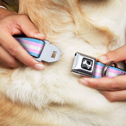 Buckle-Down Dog Collar Seatbelt Buckle Flag Transgender Baby Blue Baby Pink White 11 to 17 Inches 1.0 Inch Wide in Kuwait