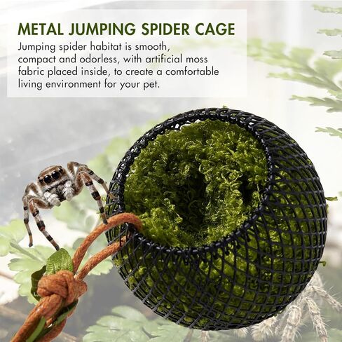 5Pcs Jumping Spider Accessories Set, 1 Magnetic Hideout Cave for Jumping Spiders, 2 Grassland Platform, 2 Climbing Net Decoration in Kuwait