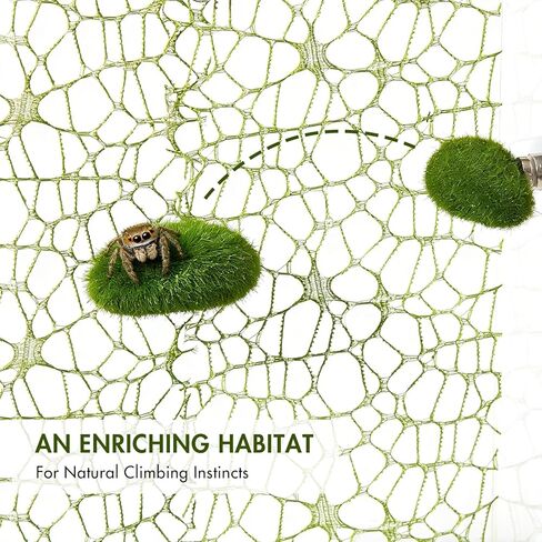 5Pcs Jumping Spider Accessories Set, 1 Magnetic Hideout Cave for Jumping Spiders, 2 Grassland Platform, 2 Climbing Net Decoration in Kuwait