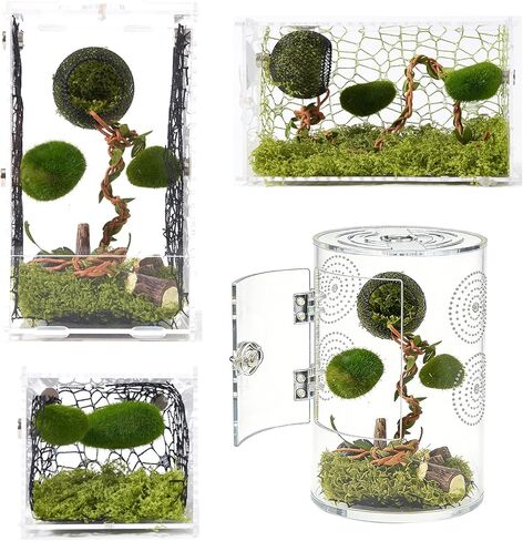 5Pcs Jumping Spider Accessories Set, 1 Magnetic Hideout Cave for Jumping Spiders, 2 Grassland Platform, 2 Climbing Net Decoration in Kuwait