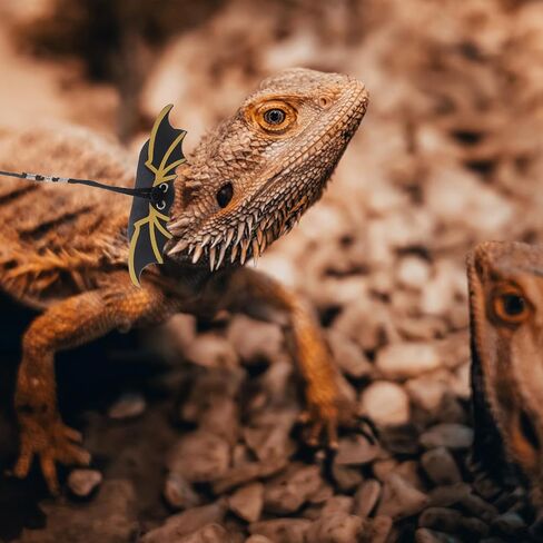 Tofficu Halloween Lizard Leash with Cool Wings 3pcs Set, Wear-Resistant Bearded Dragon Harness and Small Pet Outdoor Walking Rope for Reptiles in Kuwait