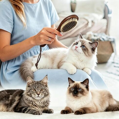 فرشاة شعر القطط ذات شعيرات الخنزير، فرشاة لطيفة للقطط ذات الشعر القصير والقطط والكلاب الصغيرة والأرانب والحيوانات الأليفة ذات الفراء بشعيرات طبيعية ناعمة فرشاة للحيوانات الأليفة بمقبض خشبي للبشرة الحساسة in Kuwait