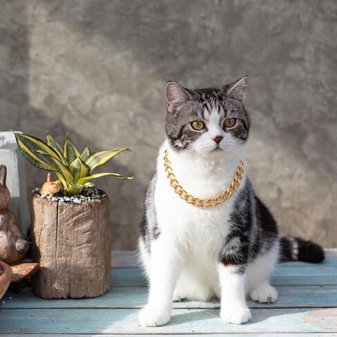 Larrel 2 Pcs Cat Chain Collar, Adjustable Metal Chain for Cat, Pet Necklace Jewelry Exquisite Pet Stylish Decorative Accessory for Small Cats Dogs(Gold, Silver) in Kuwait