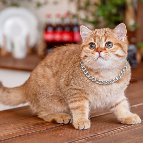 Larrel 2 Pcs Cat Chain Collar, Adjustable Metal Chain for Cat, Pet Necklace Jewelry Exquisite Pet Stylish Decorative Accessory for Small Cats Dogs(Gold, Silver) in Kuwait