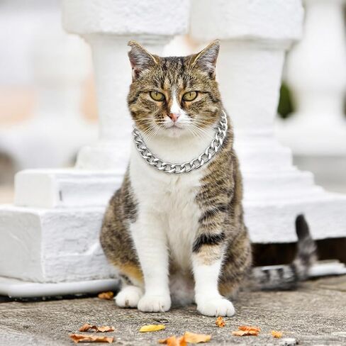 Larrel 2 Pcs Cat Chain Collar, Adjustable Metal Chain for Cat, Pet Necklace Jewelry Exquisite Pet Stylish Decorative Accessory for Small Cats Dogs(Gold, Silver) in Kuwait