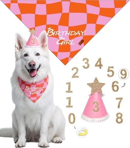 Dog Birthday Costume & Decoration Supplies Set for Girl, Pink Birthday Hat with Numbers, Pink Plaid Bandana Scarf for Small Pets(S) in Kuwait
