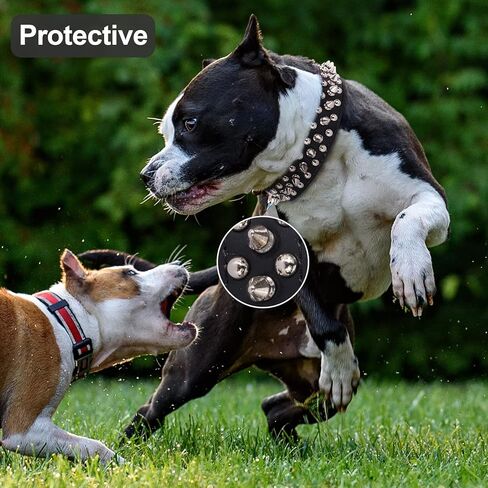 طوق كلب Frienhund قابل للتعديل: طوق كلب واقٍ من جلد البولي يوريثان مع مقود، طوق متين مدبب للكلاب متوسطة الحجم، أسود، مقاس XL (17.7"-20.5") in Kuwait