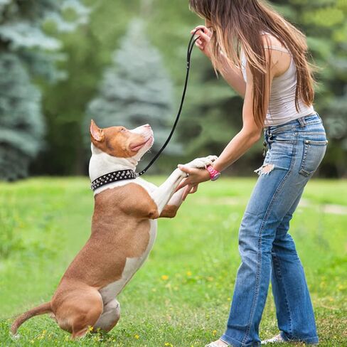 طوق كلب Frienhund قابل للتعديل: طوق كلب واقٍ من جلد البولي يوريثان مع مقود، طوق متين مدبب للكلاب متوسطة الحجم، أسود، مقاس XL (17.7"-20.5") in Kuwait