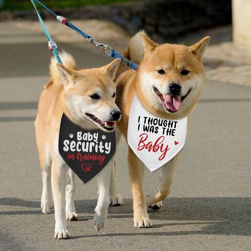 2 Packs Pregnancy Announcement Security in Training Dog Bandana Pregnancy Reveal Baby Announcement Grandparents Dog Gender Reveal Outfit Durable Triangle Scarf for Small Medium Large Dogs in Kuwait