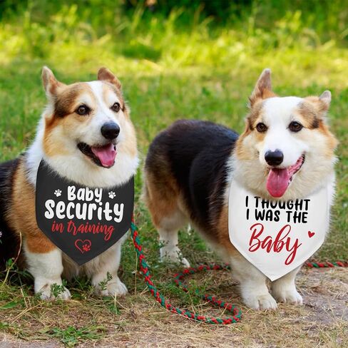2 Packs Pregnancy Announcement Security in Training Dog Bandana Pregnancy Reveal Baby Announcement Grandparents Dog Gender Reveal Outfit Durable Triangle Scarf for Small Medium Large Dogs in Kuwait
