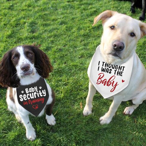 2 Packs Pregnancy Announcement Security in Training Dog Bandana Pregnancy Reveal Baby Announcement Grandparents Dog Gender Reveal Outfit Durable Triangle Scarf for Small Medium Large Dogs in Kuwait