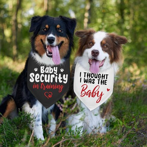 2 Packs Pregnancy Announcement Security in Training Dog Bandana Pregnancy Reveal Baby Announcement Grandparents Dog Gender Reveal Outfit Durable Triangle Scarf for Small Medium Large Dogs in Kuwait