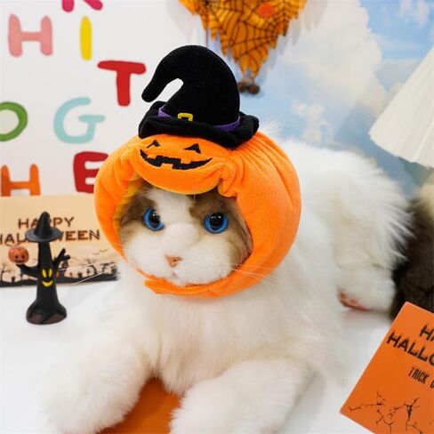 Dog Pumpkin Costume Halloween Cat Pumpkin Outfit Funny Puppy Clothes for Small Dogs Pet Party Cosplay Accessories(37×9×9cm/14.6×3.5×3.5") in Kuwait