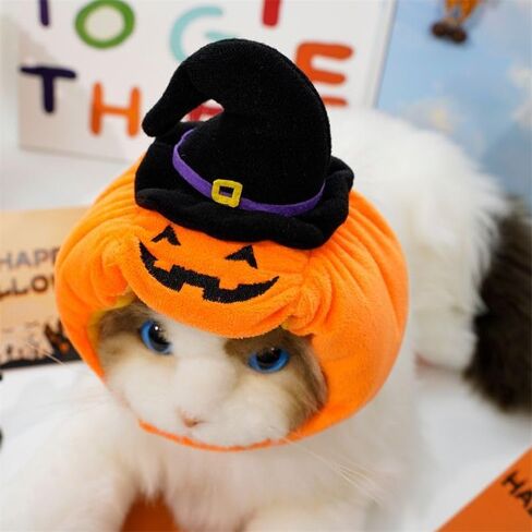 Dog Pumpkin Costume Halloween Cat Pumpkin Outfit Funny Puppy Clothes for Small Dogs Pet Party Cosplay Accessories(37×9×9cm/14.6×3.5×3.5") in Kuwait