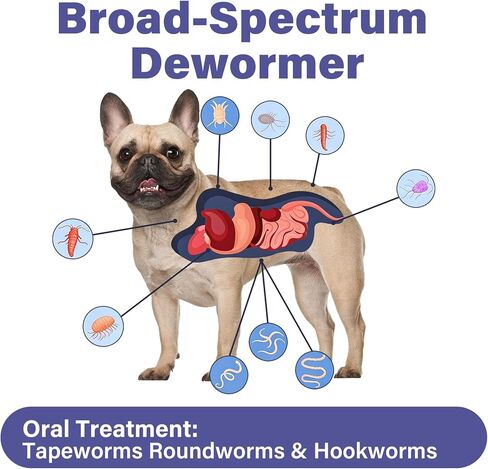 De-Wormer for Puppies and Small Dogs, Dewormer Chewables, (pyrantel pamoate/praziquantel) Controls Tapeworms, Roundworms & Hookworms, Easy to Administer Canine Worm Treatment in Kuwait